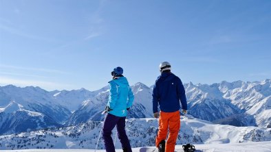 Winter panorama