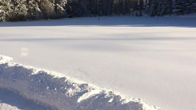 Deine Spuren im Schnee, die ich leider nicht seh,.