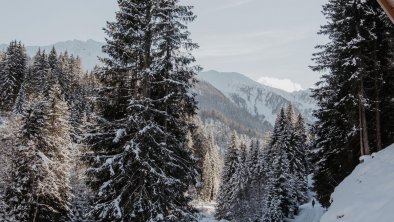 Bergler-Hoamat-Navis-Winterlandschaft-Ausblick-Hue