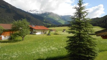 Balkonaussicht Waldfrieden