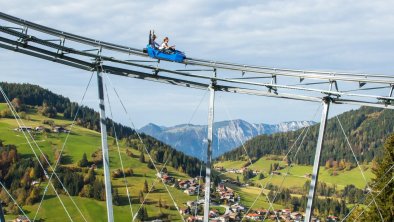 Drachenflitzer Alpine Coaster Wildschönau Sommer F