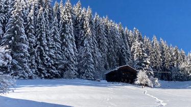 Zauberhütte Oberau Winter