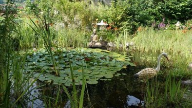 FeWo Hörhager Mayrhofen - Garten