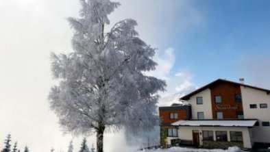 Steinerkogel - Winter