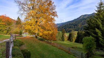 Herbstimpressionen_TVB_Wildschoenau_Dabernig_10_20