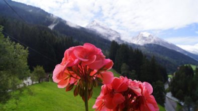 Balkonblumen Klausboden