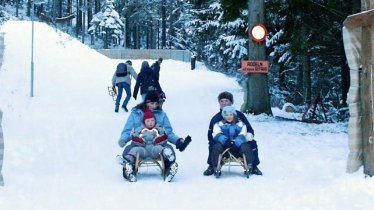 Lienz Dolomites Toboggan Run, © Verein Naturrodelbahn Lienzer Dolomiten