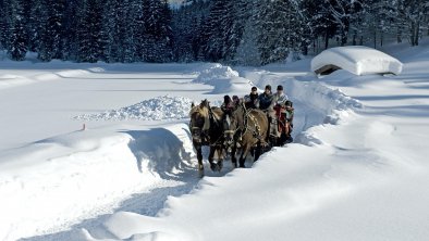 Pferdeschlittenfahrt zu den Bergwiesen