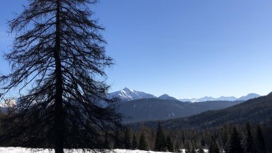 Auf dem Weg zur Hämmermoosalm