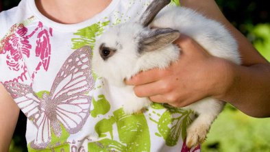 Tiere am Bauernhof - Hasen