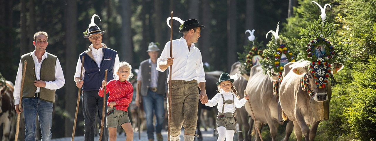 The cattle is rounded-up and herded down to Hintertux from Bichlalm Alpine Pasture Hut, © TVB Tux-Finkenberg / shootandstyle.com