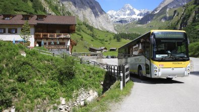 Blumen mit Großglockner