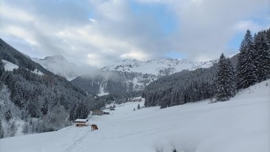 innergreit_alpbachtal_winter