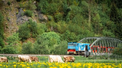 Zillertal Steam Train