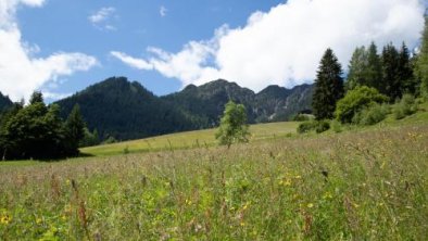 Ferienwohnung Zuhaus Lehen, © bookingcom