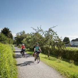 The Inn Cycle Path near Rattenberg in the Alpbachtal Valley, © Tirol Werbung/Frank Bauer