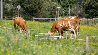 Heinfels- Sommer