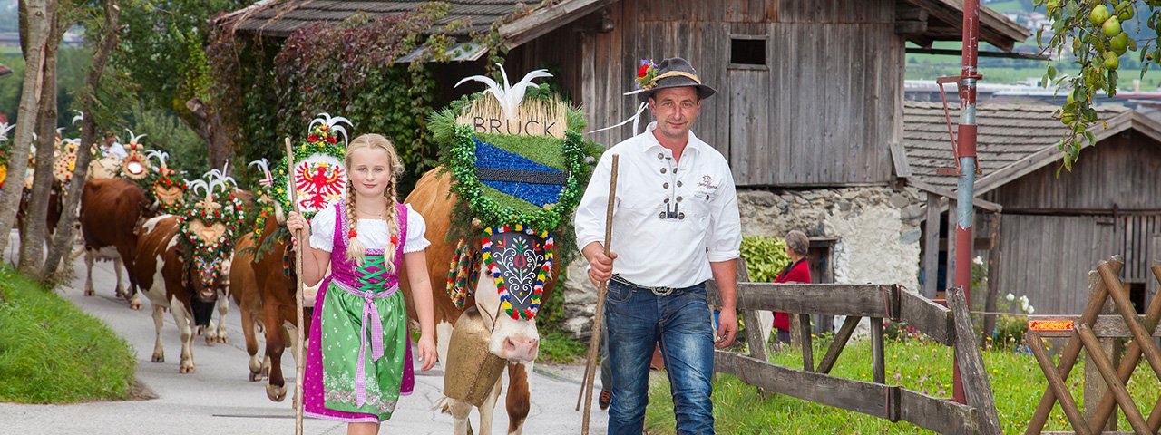 Beautifully decked out, the cows are herded home from summer grazing in the mountains of the First Region of Zillertal Valley, © Erste Ferienregion im Zillertal / Walter Kraiger