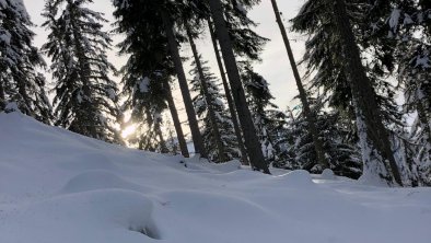 Winterwanderung am Hochzeiger