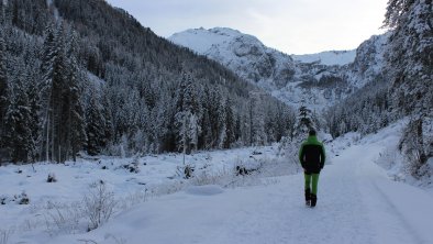 Winterwandern