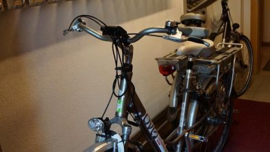 Kostelose E-Bikes im Sommer