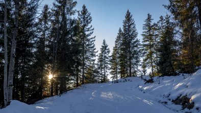 Hiking on the Dürrenberg