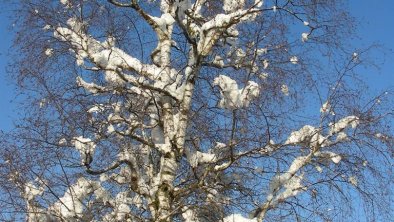 Winter Appartement  Lorenz St. Johann