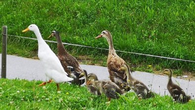 Familienausflug