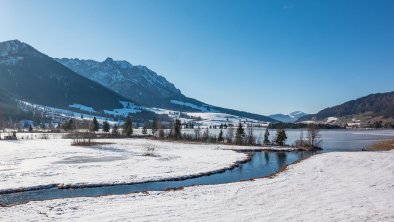 Winter Landschaft