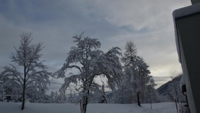 Wintertraum