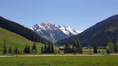 Ausblick Sommer