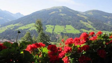 Alpbachblick - Blick vom Balkon, © Alpbachblick