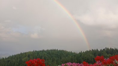 Maurerhof St. Johann in Tirol Regenbogen