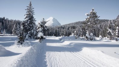 Langlaufloipe, © Region Seefeld