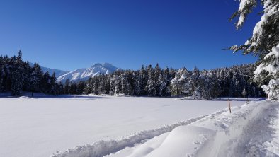 Winterwandern