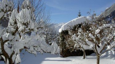 Ausblick vom Wintergarten