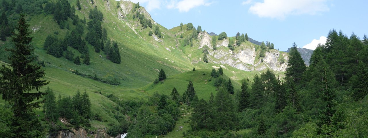 Navis Meadow Walk, © Tirol Werbung/Nicole Pfeifer