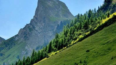 Bichlhof Kaisers hiking trail to kaiseralpe