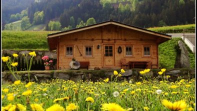 Ferienhaus Sommer