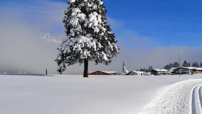 Blick auf Hochfilzen von der Dorfloipe (c) Marion, © Marion Pichler