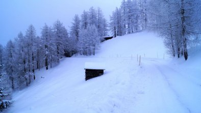 Winterlandschaft Gleins I