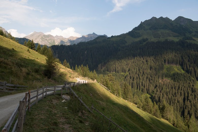 The road that leads up to Peer Alm is suitable for a delightful family walk.