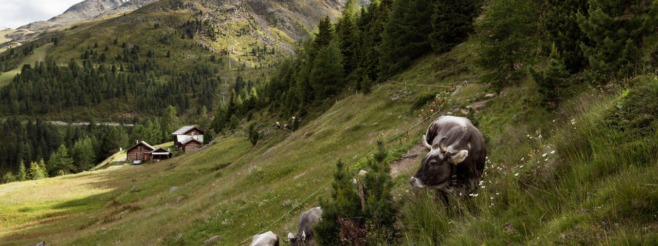 The landscape around the hut