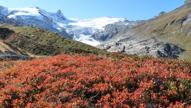 Blick zum Großvenediger - Osttirol