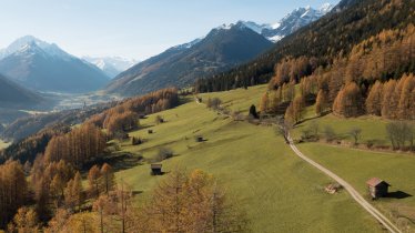 Buggy-friendly walk through the Telfeser Wiesen