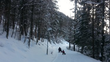 Brandenberg toboggan run, © Alpbachtal Tourismus