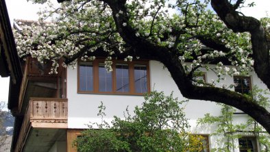 Wintergarten am Tunelhof