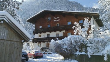 View of the House in Winter