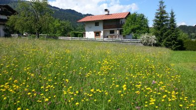 2016_Haus mit Blumenwiese, © (c)gabana