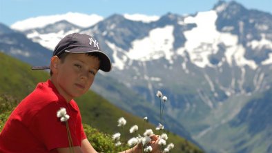 Natur genießen am Ahorn